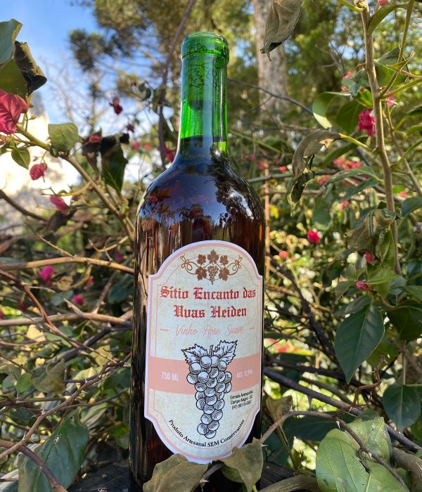 WhatsApp Image 2023-11-15 at 11.41.15