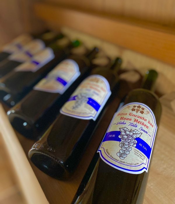 WhatsApp Image 2023-11-15 at 11.46.47 (1)