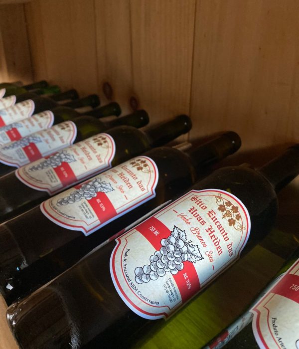 WhatsApp Image 2023-11-15 at 11.46.47